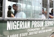 Man Sentenced to jail for unlawful dealing in Pangolin Scales, Claws