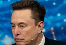 Africa’s poverty not caused by colonialism — Elon Musk