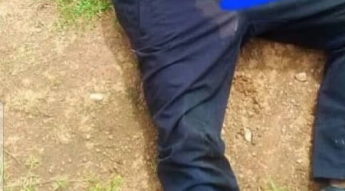Bandits kill vice principal, six-year-old, one other in school attack