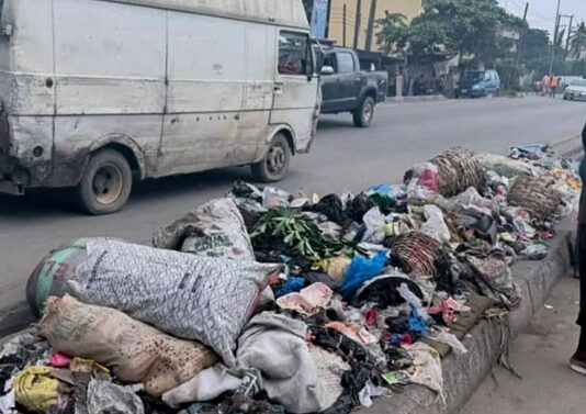 Lagos to establish Waste Police