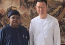 Minister, Chinese Ambassador meet over Power, Infrastructure, Industrial Development
