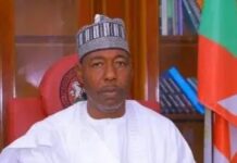 Boko Haram sets schools on fire in Borno – Report