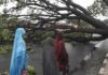 Violent wind kills two children in Bauchi