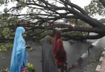 Violent wind kills two children in Bauchi