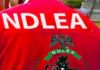 NDLEA Charges 3 Mexicans, 7 Nigerians Over Alleged 2,419kg Methamphetamine Laboratory In Ogun Forest