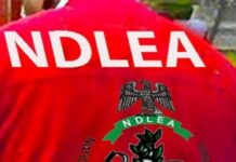 NDLEA Charges 3 Mexicans, 7 Nigerians Over Alleged 2,419kg Methamphetamine Laboratory In Ogun Forest