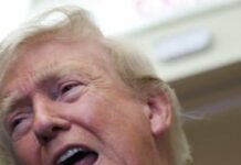 New Iran plot to kill Trump Reported