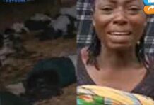 Rescue operation ongoing for abducted Oyo pupils, teachers — Army chief