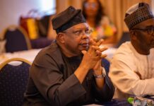 NO NEW ELECTRICITY TARIFF HIKE — FOR NOW! FG SPEAKS