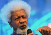 Soyinka to Tinubu: Stop Protecting Killers!