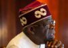 Tinubu’s Degree, NYSC Papers Go Public as INEC Opens Candidate Files