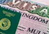 UK OPENS VISA DOOR! Over 100 Firms Cleared To Recruit Global Talent