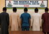 FIVE IN POLICE NET OVER FAKE HERBAL PRODUCTS IN KANO