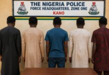 FIVE IN POLICE NET OVER FAKE HERBAL PRODUCTS IN KANO