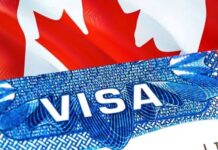 Canada Targets Skilled Workers: 1,000 Receive Invitation To Become Permanent Residents