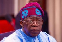 Four Reasons Tinubu Wants FBI, DEA Records Kept Secret