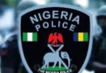 HORROR IN BAUCHI! Police Nab 5 With Human Eyes, Ritual Items