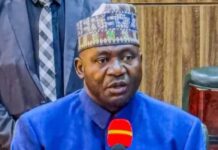 HOW GOVS ARE FUELING BANDITRY WITH PALLIATIVES — DEFENCE MINISTER