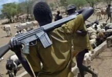 Herdsman Hacks Off Farmer’s Hand In Adamawa Grazing Dispute