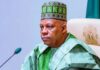 SIX GOVS? SHETTIMA’S OFFICE EXPLAINS TINUBU REMARK