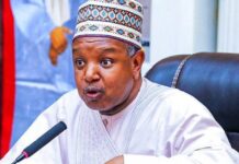 NIGERIA’S BUDGET TOO SMALL FOR 230M PEOPLE — MINISTER