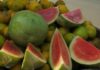 ABUJA DIPHTHERIA: FCT REJECTS VIRAL WATERMELON STORY
