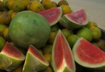 ABUJA DIPHTHERIA: FCT REJECTS VIRAL WATERMELON STORY