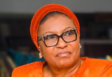 25% TAX CLAIM: SENATE FIRES BACK AT KINGIBE