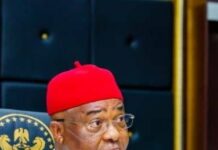 COURT STRIPS UZODIMMA OF APC SENATE TICKET, ORDERS INEC TO RECOGNISE OKOROCHA